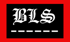 лого компании BLS Waga Janusz