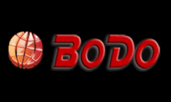 лого компании BODO Transport