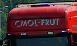 лого компании CMOL- FRUT Stefan Wrzask