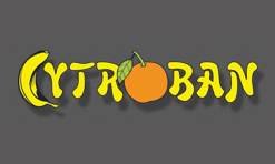 лого компании Cytroban Plus