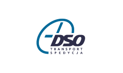 лого компании DSO Transport