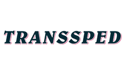 лого компании TRANSSPED