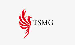 logoul companiei TSMG SIA